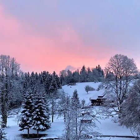 Boutique And Sternen 3* Todtmoos