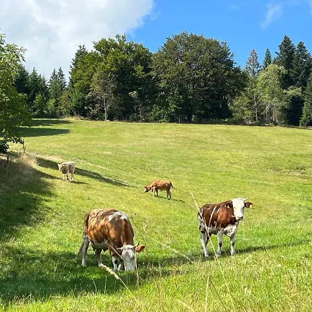 Guest house Boutique And Sternen Todtmoos