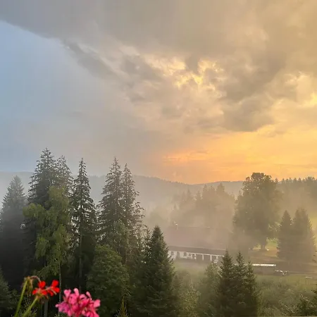 Pensión Boutique And Sternen Todtmoos