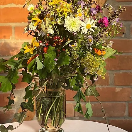 Boutique And Sternen 게스트하우스