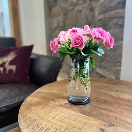 Boutique And Sternen 게스트하우스 3*