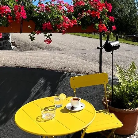 게스트하우스 Boutique And Sternen