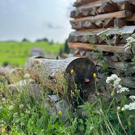 Boutique And Sternen 토트무스