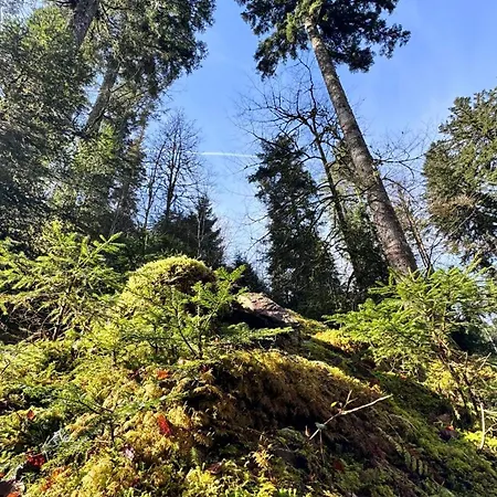 Boutique And Sternen Pensión Todtmoos