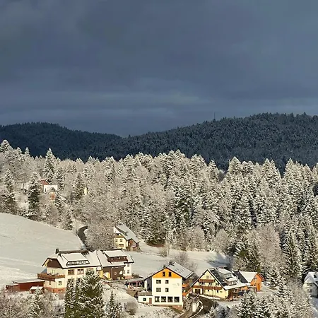 Boutique & Sternen 3* Todtmoos